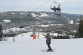 Enlarge photo 96