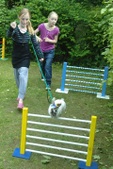 Enlarge photo 33