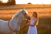 Enlarge photo 58