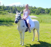 Enlarge photo 16