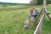 Enlarge photo 26