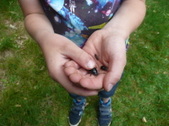 Enlarge photo 14