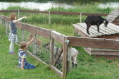 Enlarge photo 27