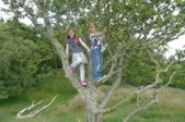 Enlarge photo 43
