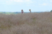 Enlarge photo 44