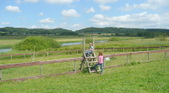 Enlarge photo 24