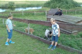 Enlarge photo 7