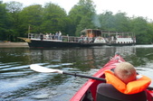 Enlarge photo 30