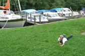 Enlarge photo 32