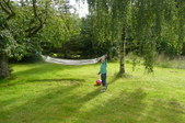 Enlarge photo 13