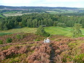 Enlarge photo 28