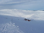 Enlarge photo 49
