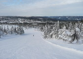 Enlarge photo 51