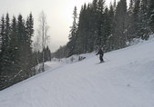 Enlarge photo 39