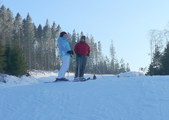 Enlarge photo 21