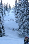 Enlarge photo 28