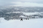 Enlarge photo 42