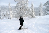 Enlarge photo 45