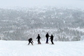 Enlarge photo 18