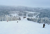 Enlarge photo 44