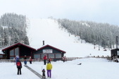 Enlarge photo 41