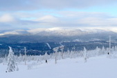 Enlarge photo 53