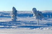 Enlarge photo 54