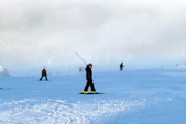 Enlarge photo 50