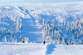 Enlarge photo 52