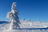 Enlarge photo 55