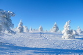 Enlarge photo 57