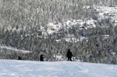 Enlarge photo 59
