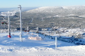 Enlarge photo 65