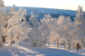 Enlarge photo 64