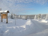 Enlarge photo 2
