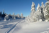 Enlarge photo 36