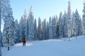 Enlarge photo 15