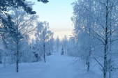 Enlarge photo 33