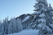 Enlarge photo 34
