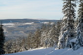 Enlarge photo 37
