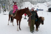 Enlarge photo 50