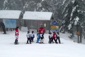 Enlarge photo 43