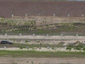Enlarge photo 35