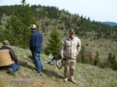Enlarge photo 16