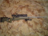 LR .223 With AI stock