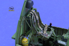 Enlarge photo 70