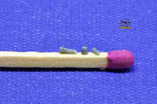 Enlarge photo 49