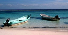 Enlarge photo 102