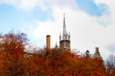 Enlarge photo 10