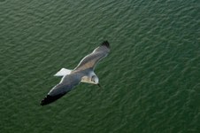 Enlarge photo 29